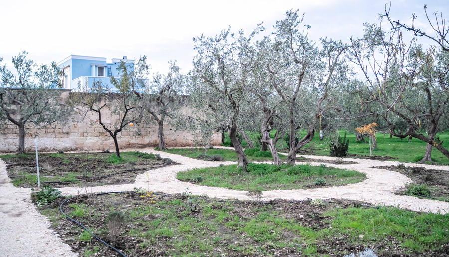 herb garden