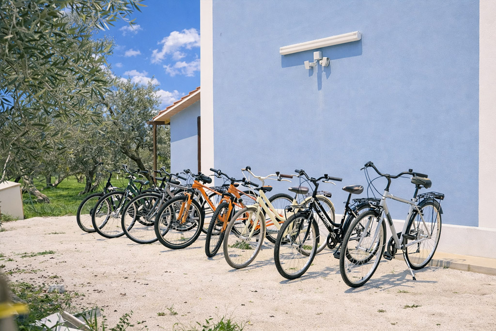bike rental