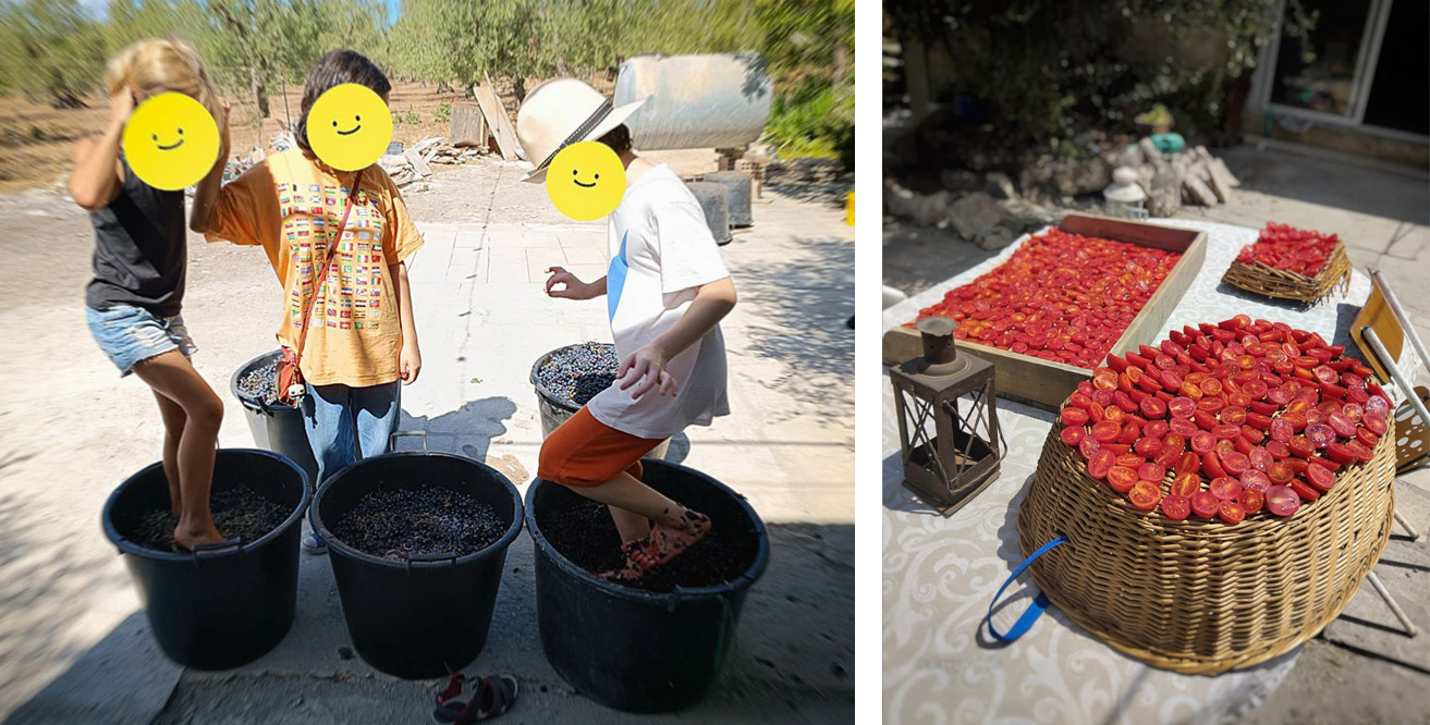traditional agricultural activities